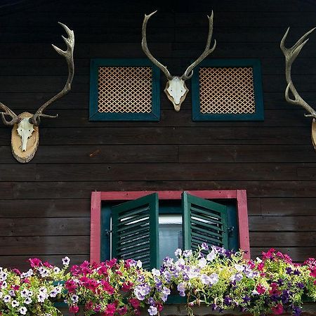 Angerer Alm Hotel Sankt Johann in Tirol Exterior foto